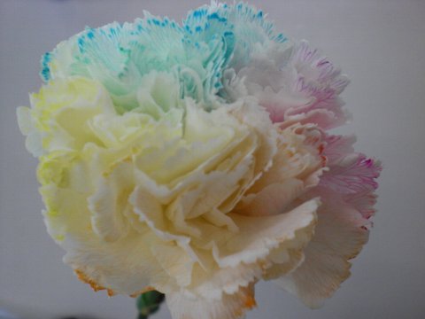 ファイル 1-2.jpg