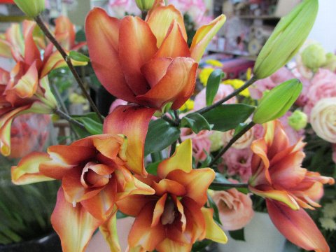 ファイル 10-2.jpg