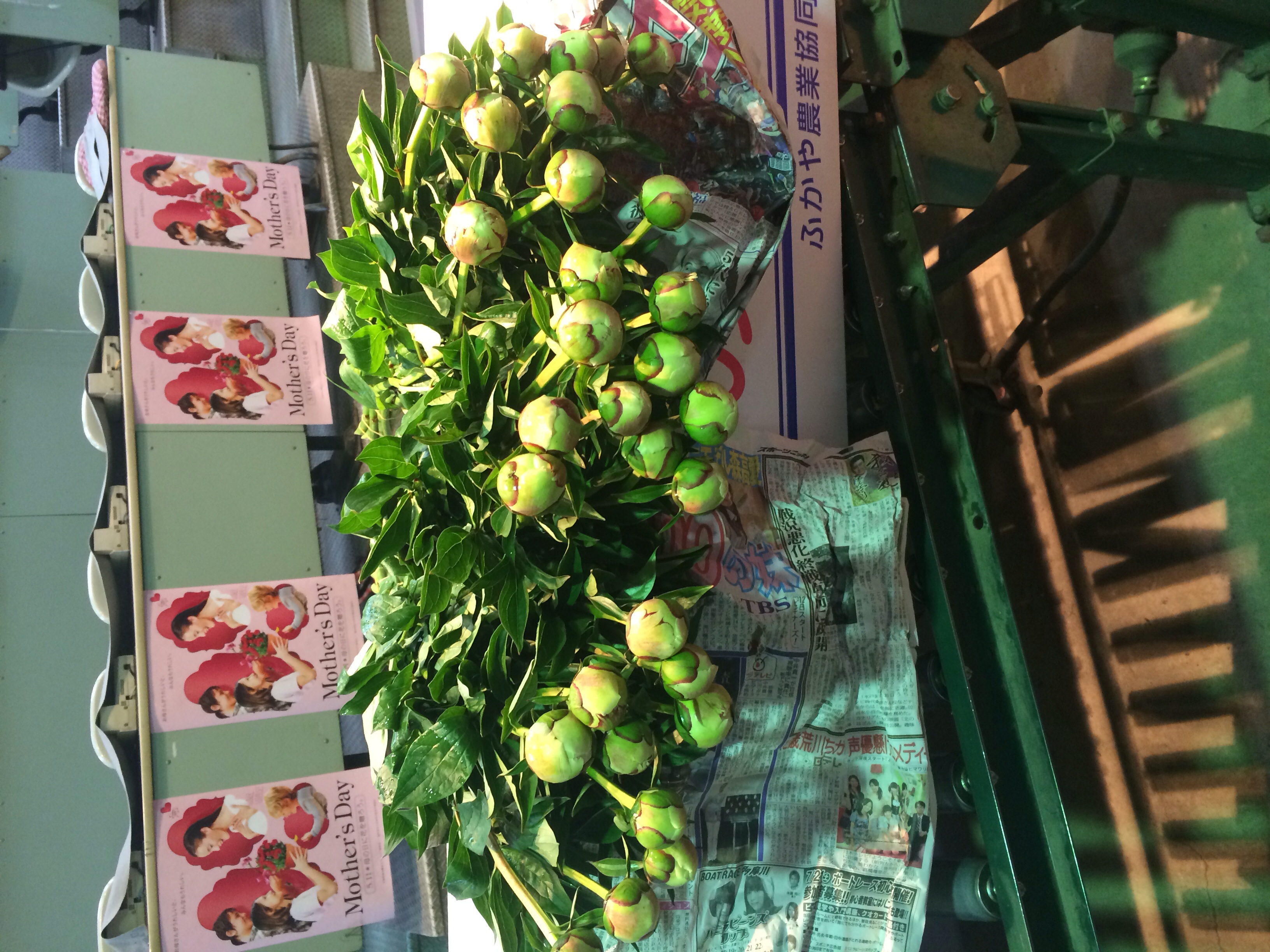 ファイル 101-2.jpg