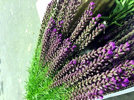 ファイル 102-2.jpg