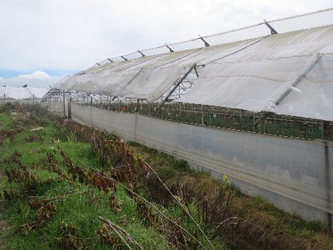 ファイル 103-2.jpg