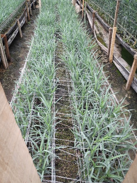 ファイル 103-3.jpg