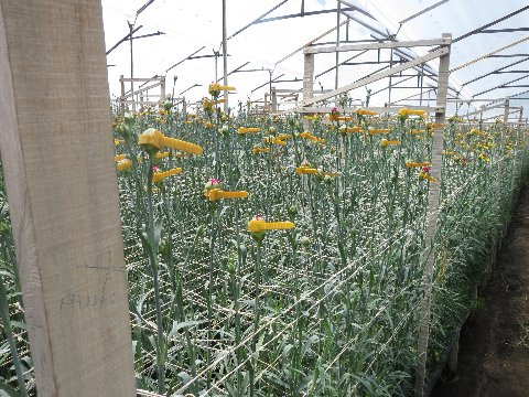 ファイル 103-4.jpg