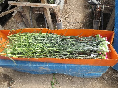 ファイル 103-5.jpg