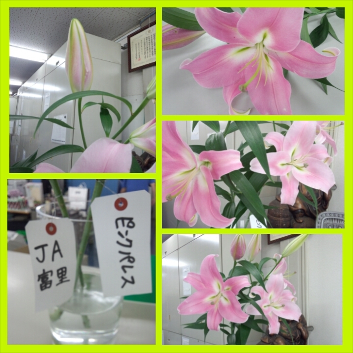 ファイル 104-1.jpg