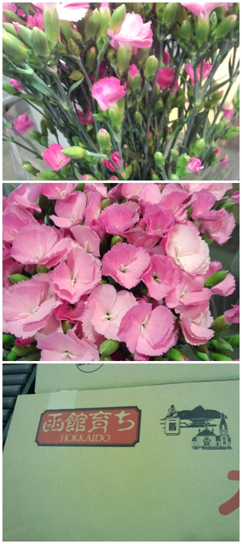 ファイル 105-1.jpg