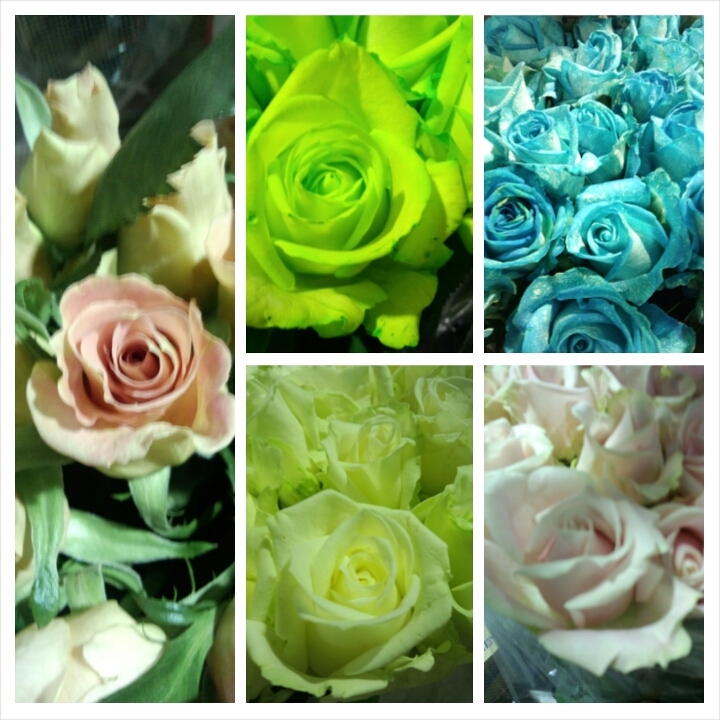 ファイル 106-1.jpg