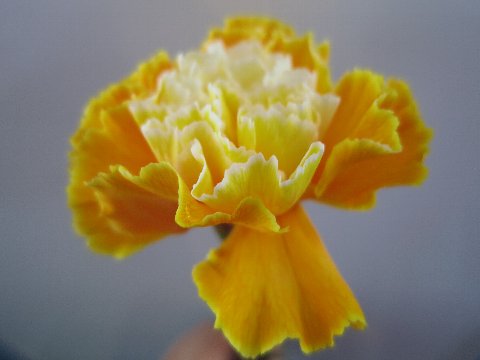 ファイル 107-1.jpg