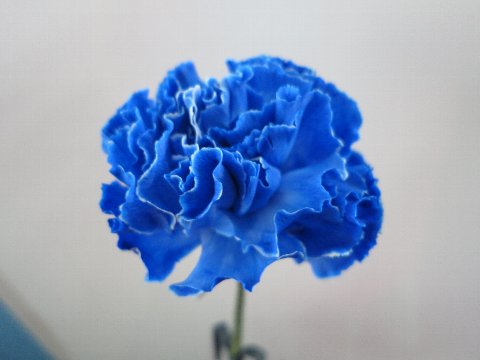 ファイル 107-2.jpg