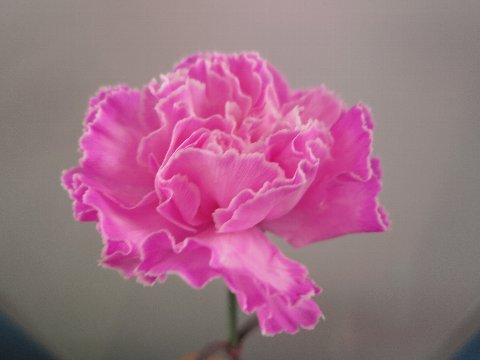 ファイル 107-3.jpg