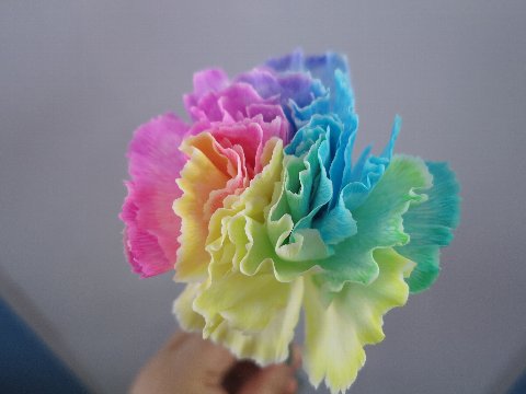 ファイル 107-4.jpg