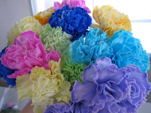 ファイル 107-5.jpg