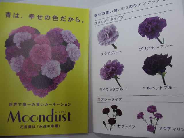 ファイル 108-1.jpg