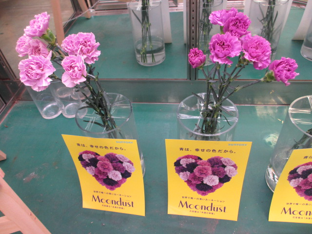 ファイル 108-2.jpg