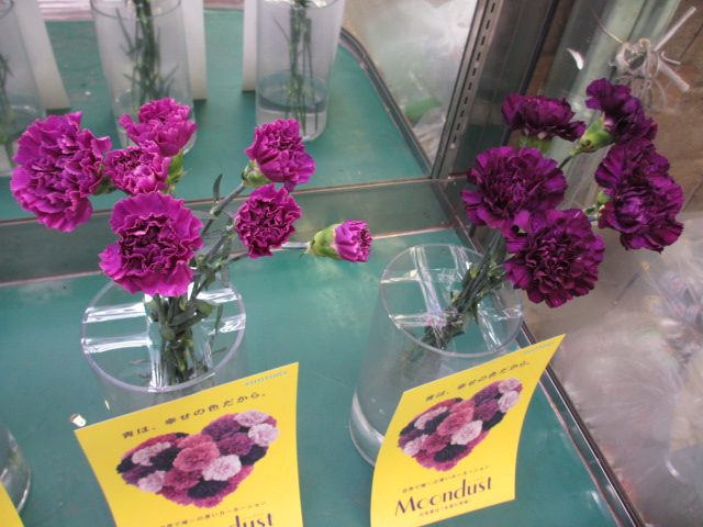 ファイル 108-3.jpg