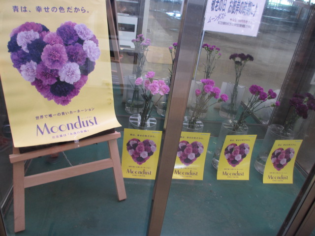 ファイル 108-4.jpg