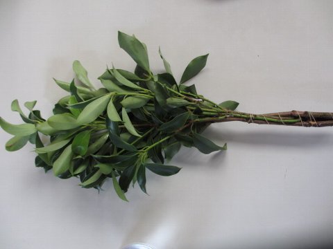 ファイル 109-2.jpg