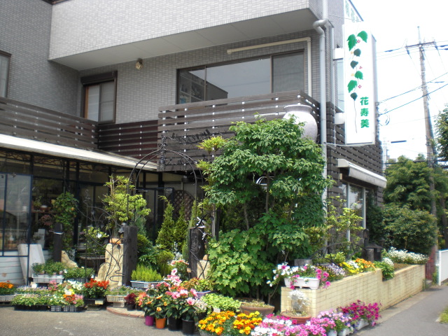 ファイル 11-1.jpg