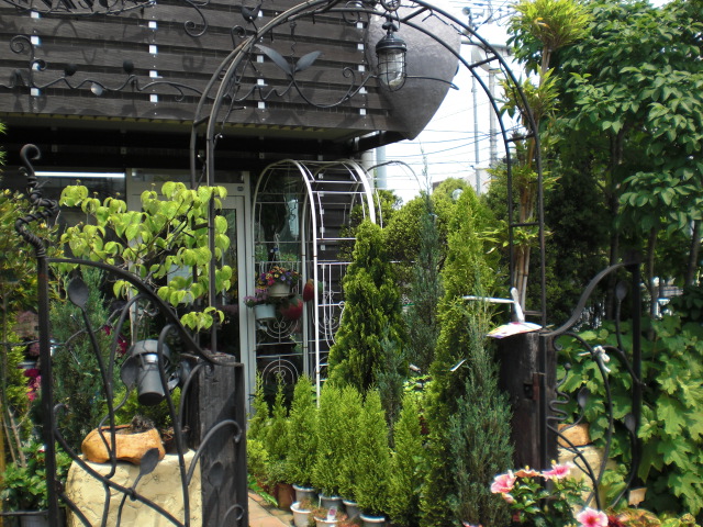 ファイル 11-2.jpg