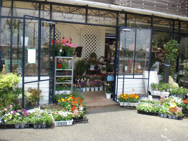 ファイル 11-3.jpg