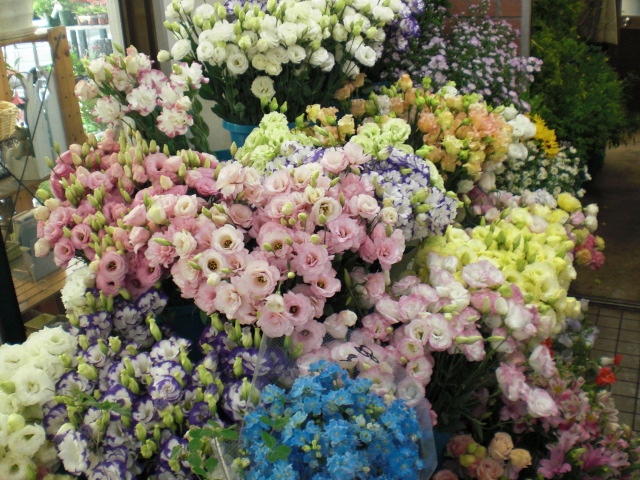 ファイル 11-4.jpg