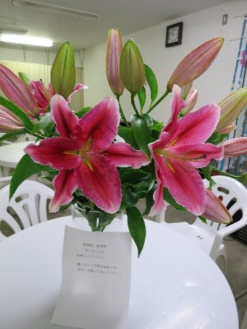 ファイル 110-2.jpg