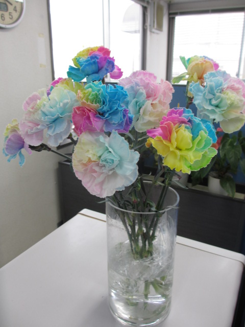 ファイル 111-1.jpg