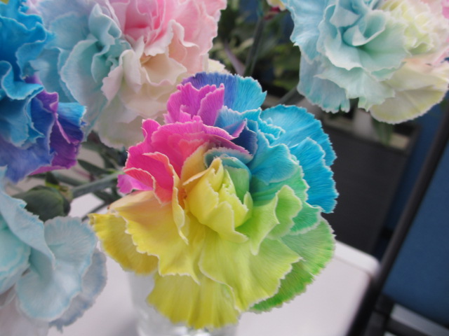 ファイル 111-2.jpg