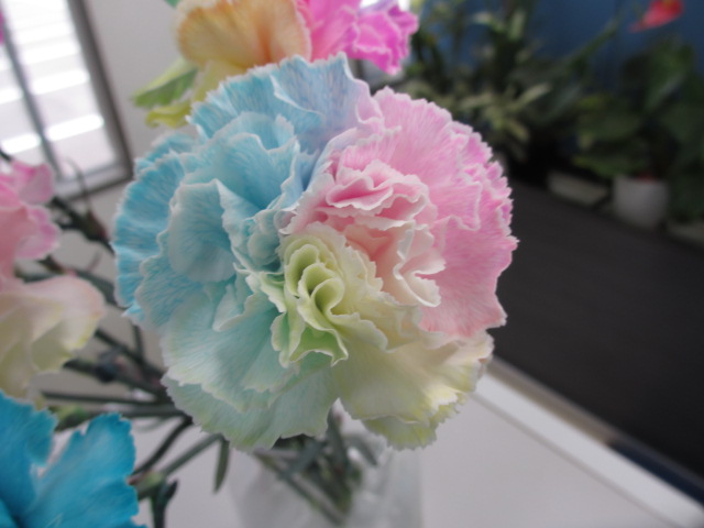 ファイル 111-3.jpg