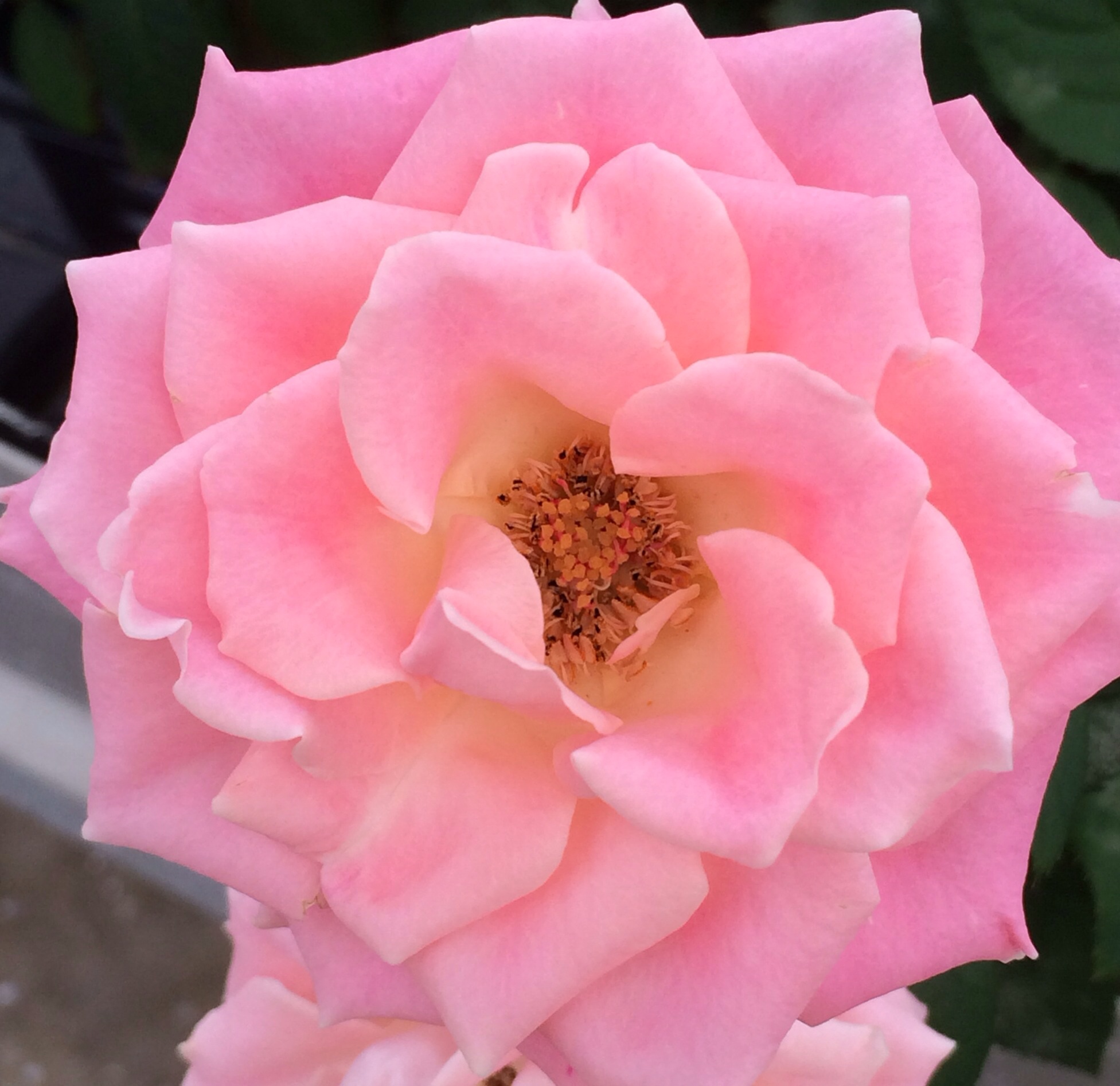 ファイル 113-1.jpg