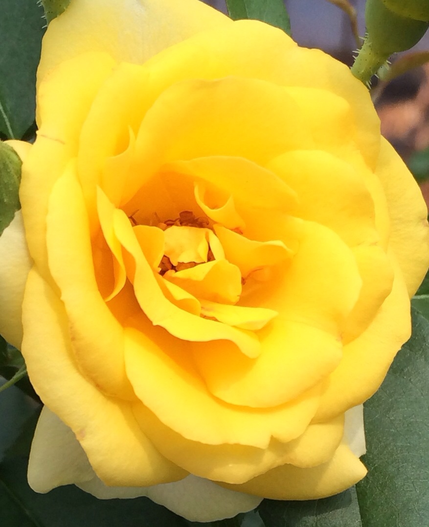 ファイル 113-3.jpg