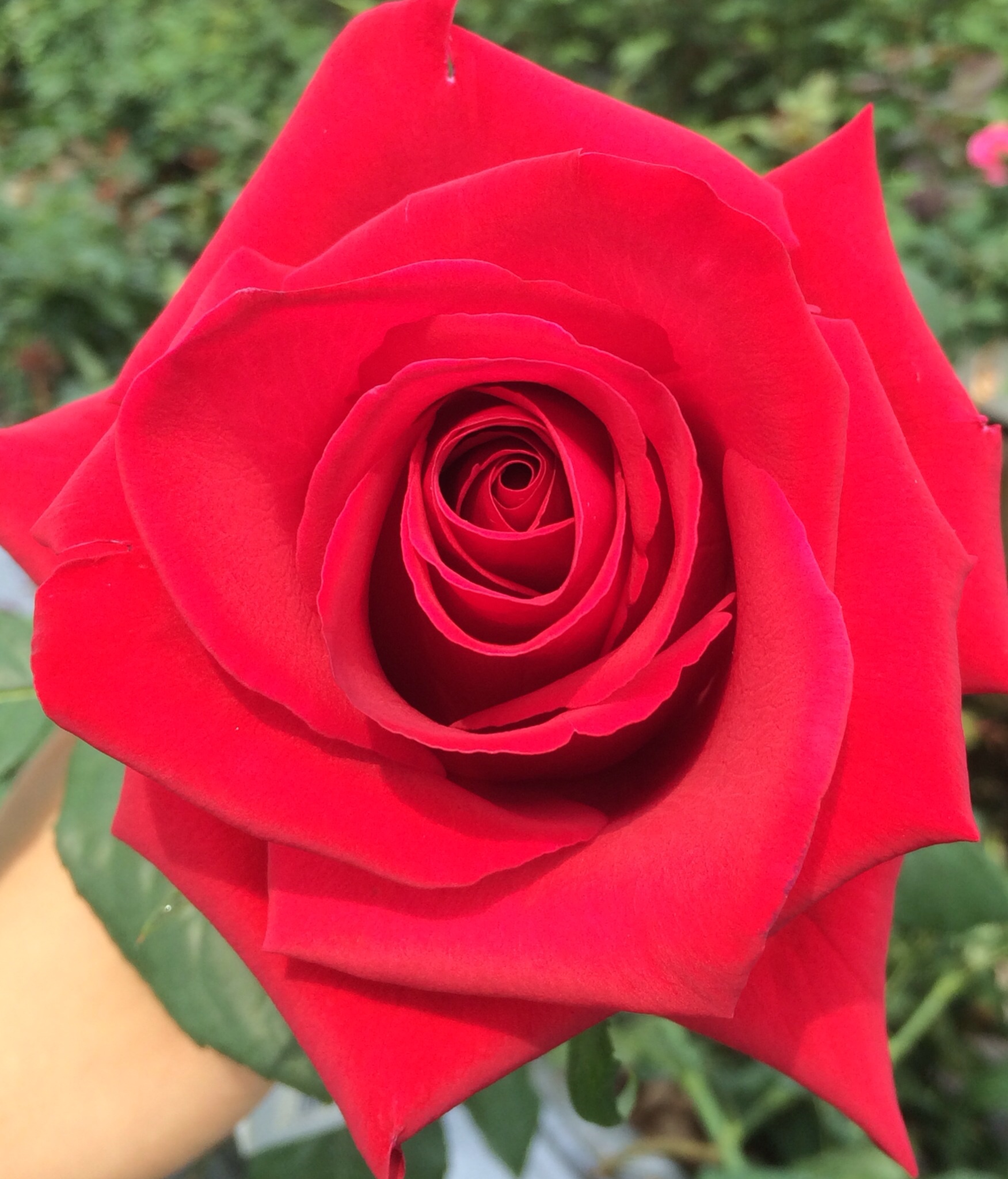 ファイル 113-4.jpg