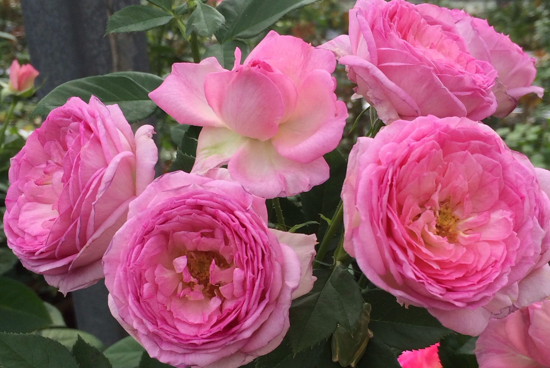 ファイル 113-5.jpg