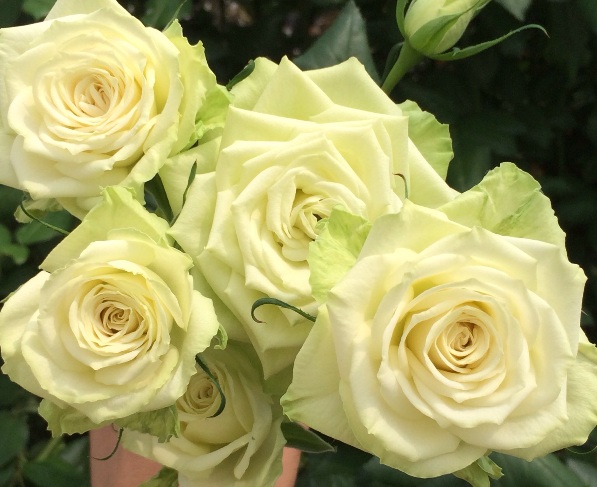 ファイル 114-2.jpg