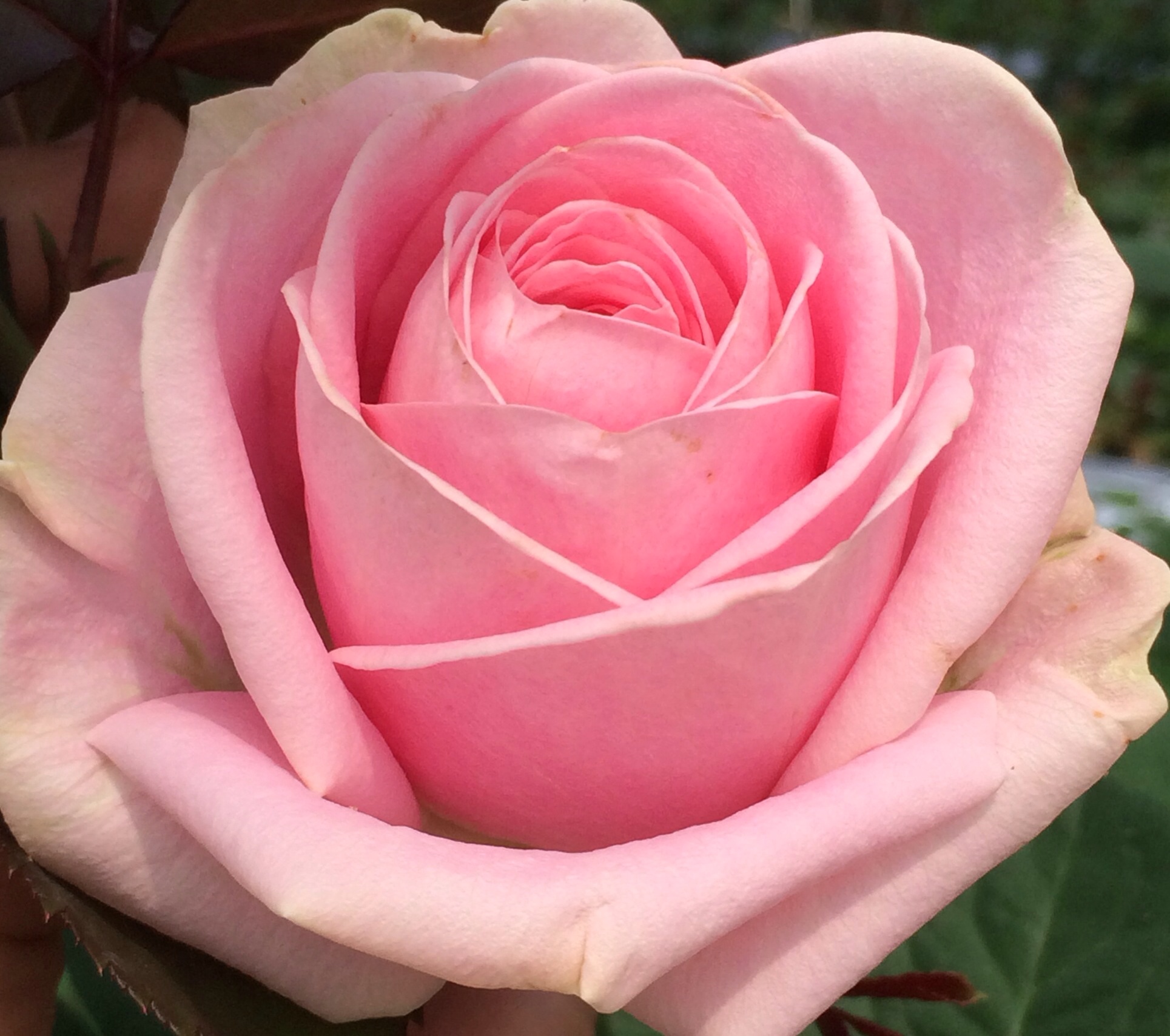 ファイル 114-4.jpg