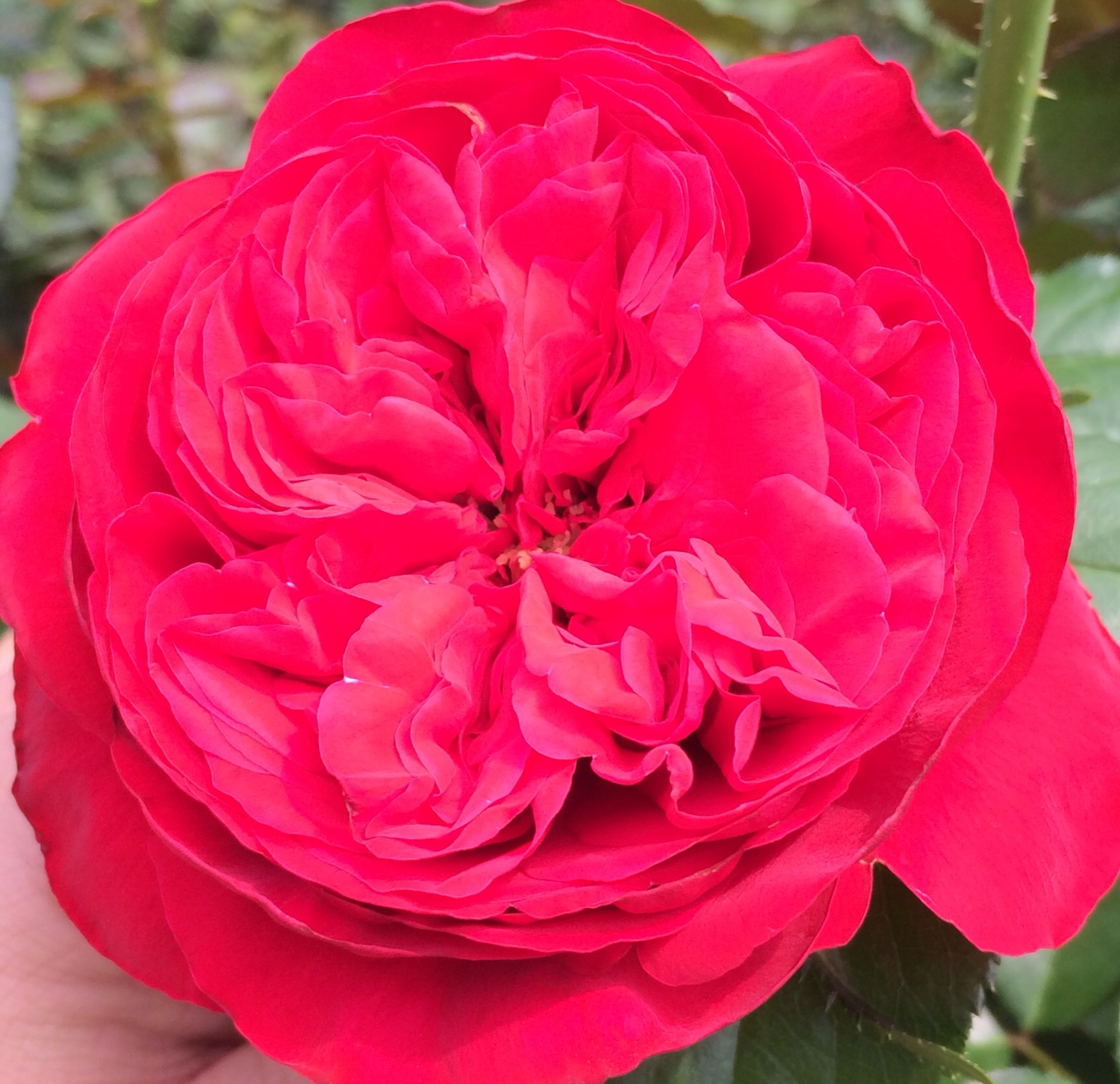 ファイル 114-5.jpg