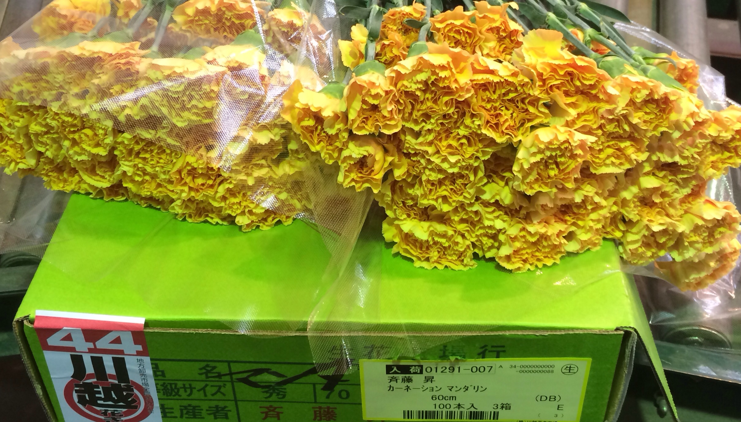 ファイル 118-2.jpg