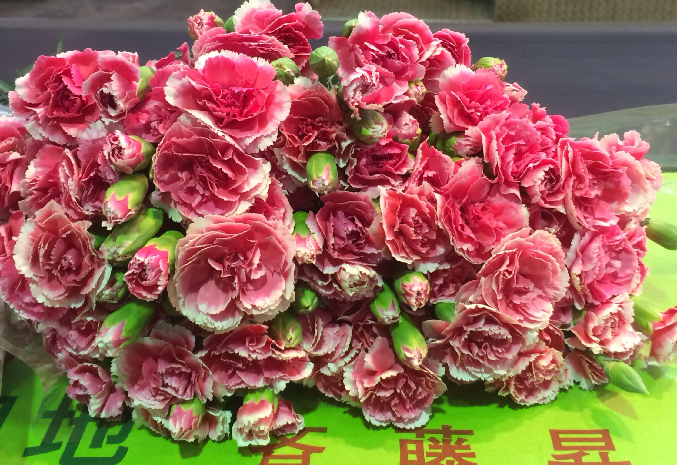 ファイル 118-4.jpg