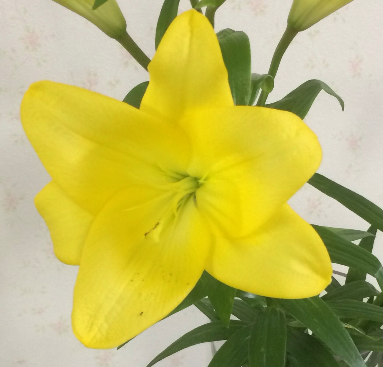 ファイル 119-1.jpg