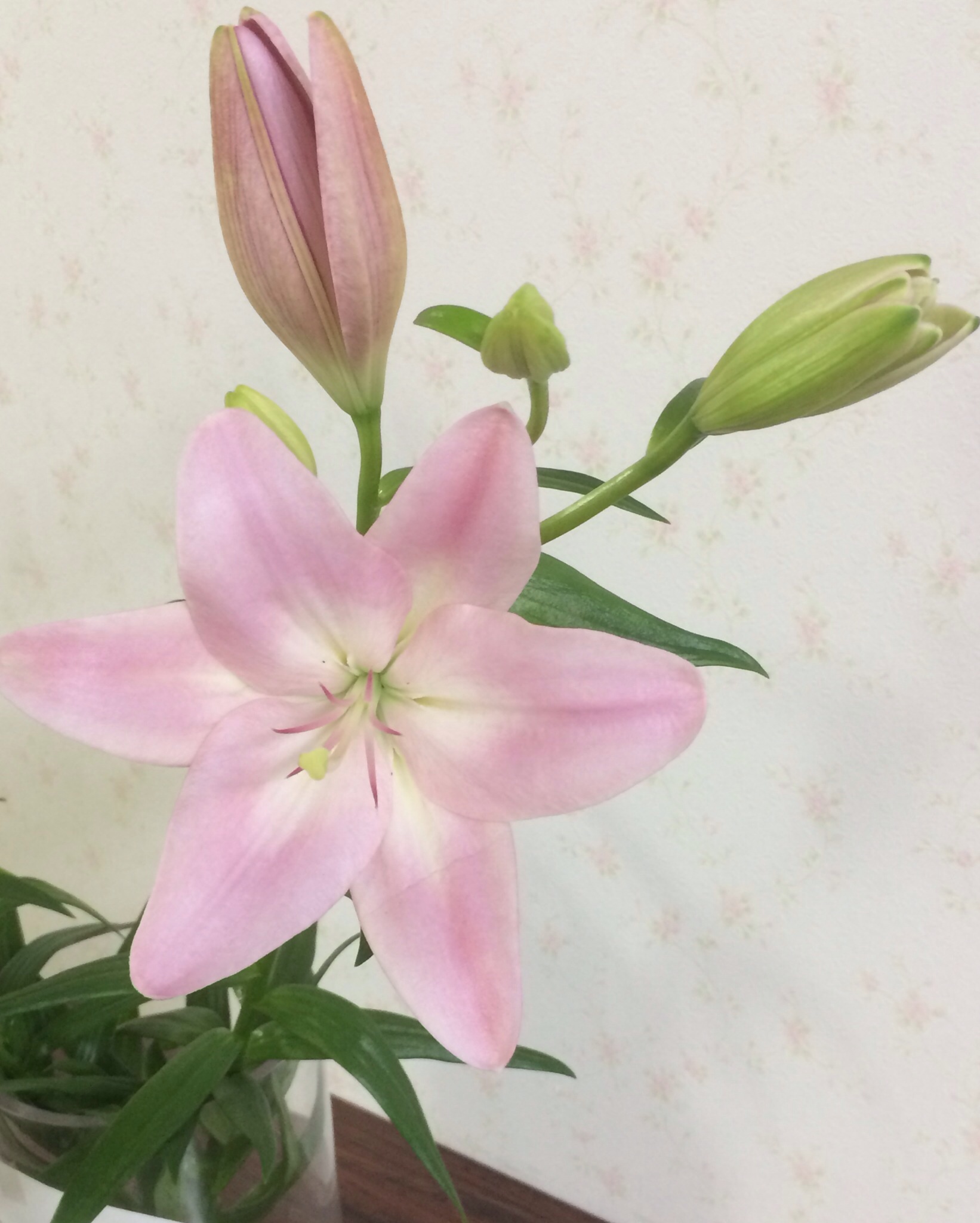 ファイル 119-4.jpg