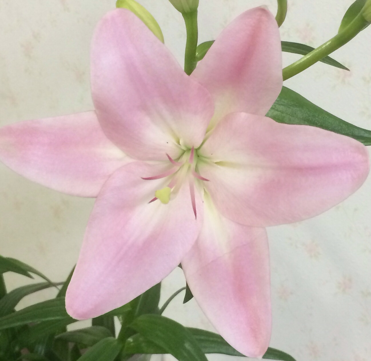 ファイル 119-5.jpg