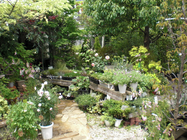 ファイル 12-3.jpg