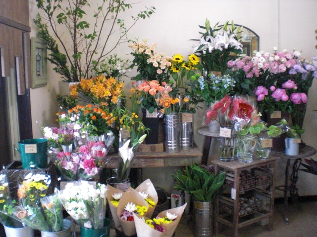 ファイル 12-4.jpg