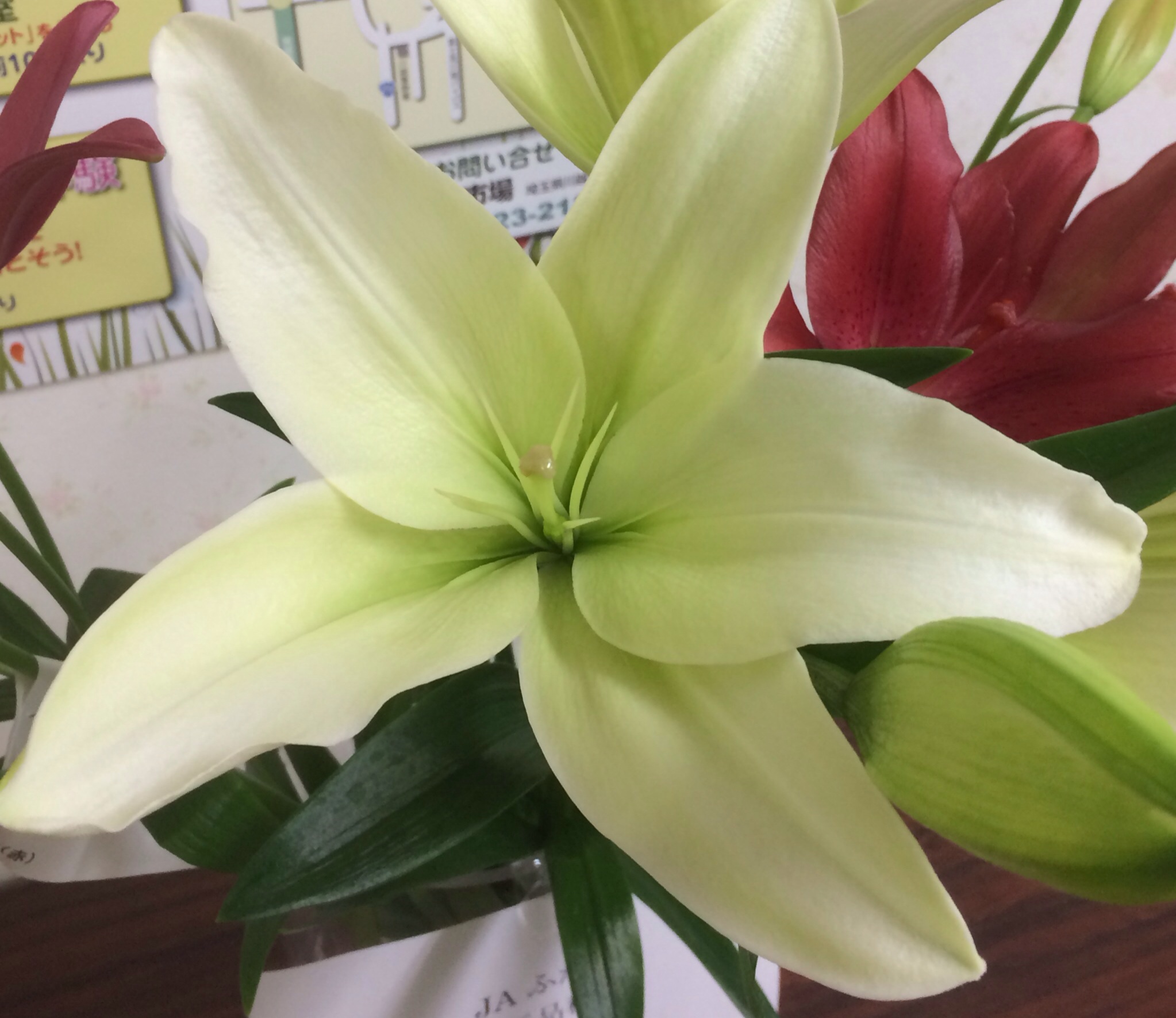 ファイル 120-1.jpg