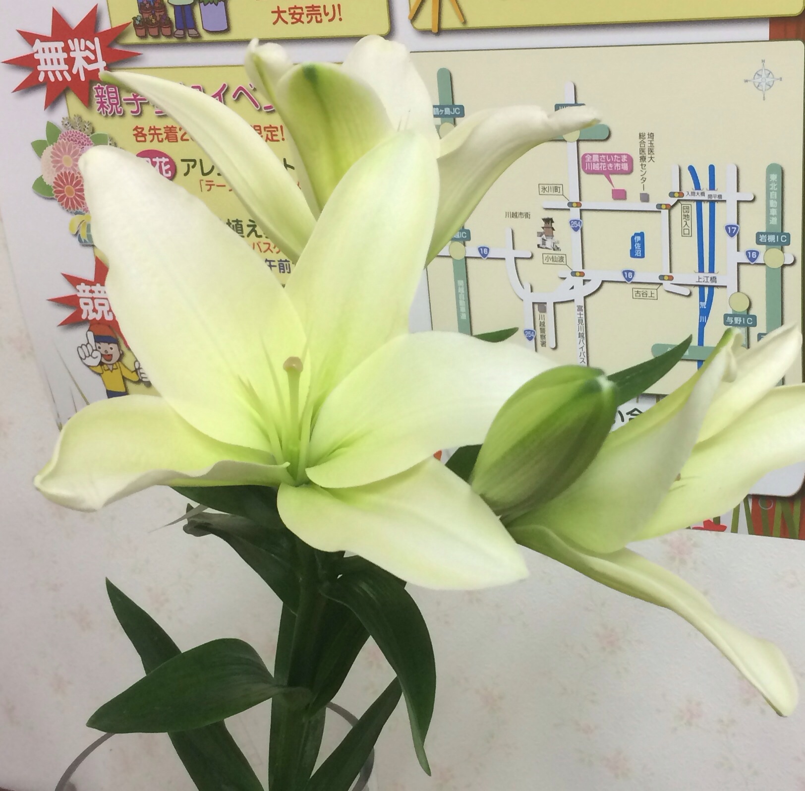 ファイル 120-2.jpg