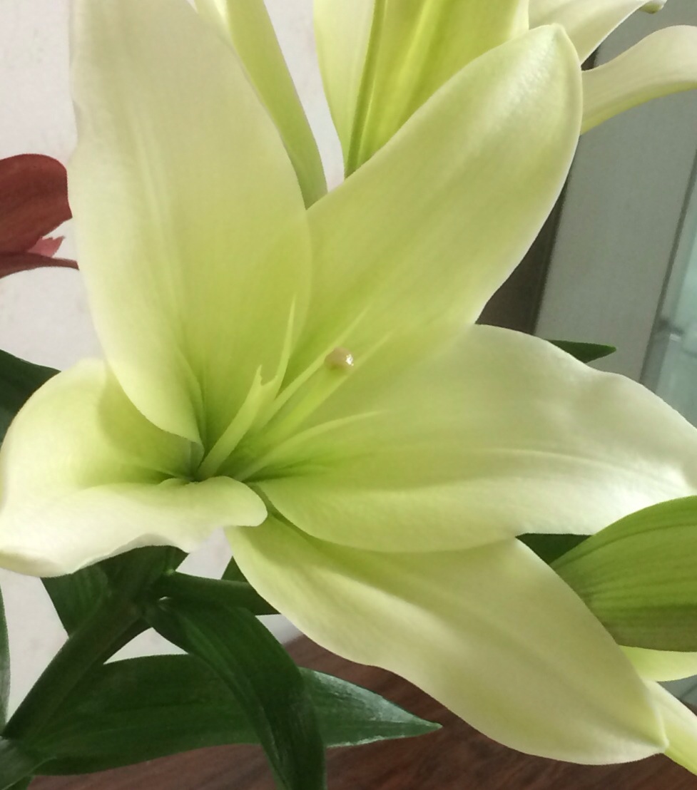 ファイル 120-3.jpg