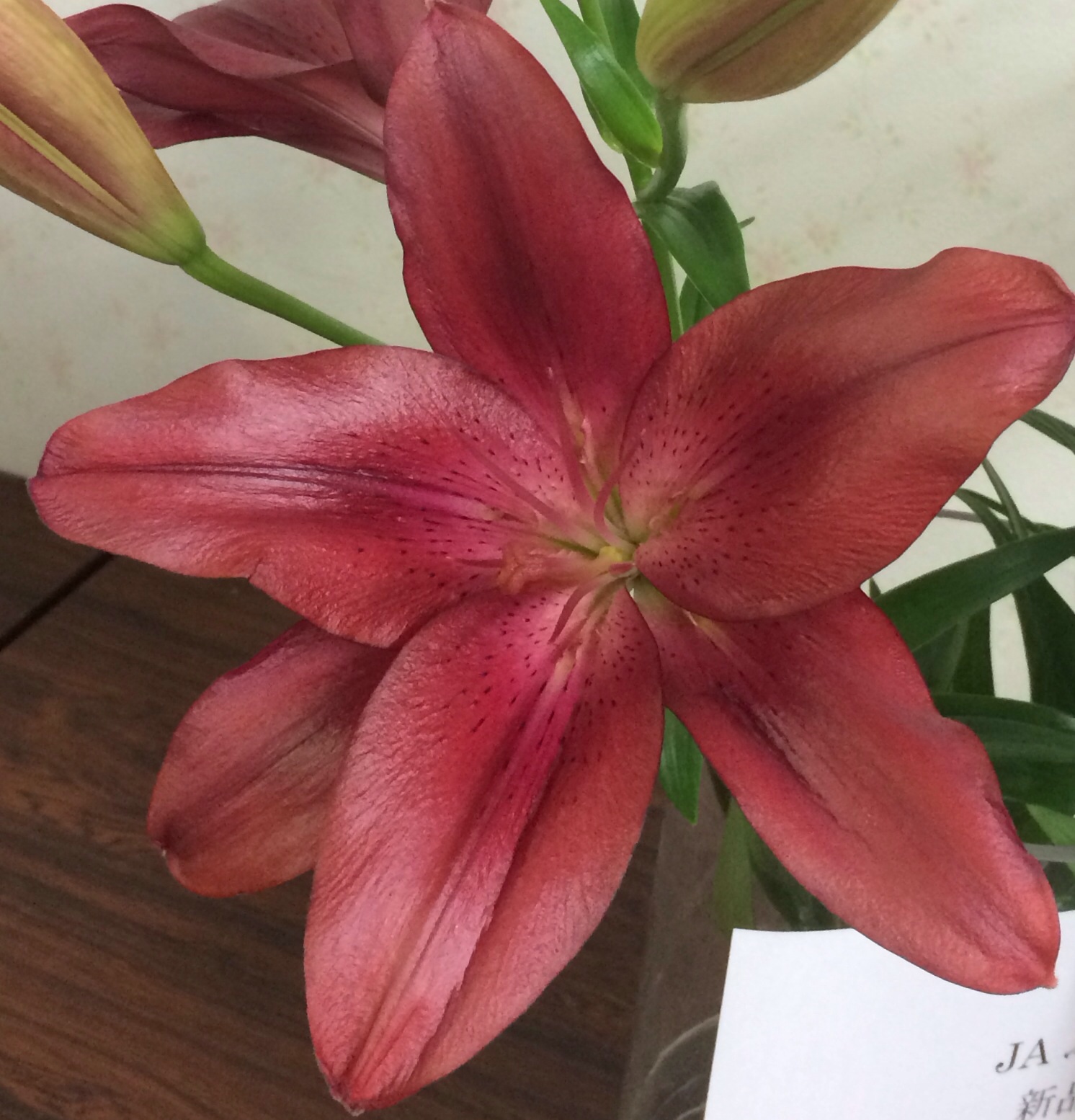 ファイル 121-1.jpg