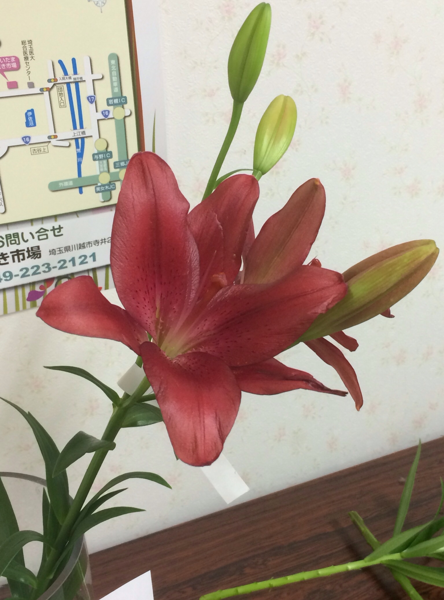 ファイル 121-2.jpg