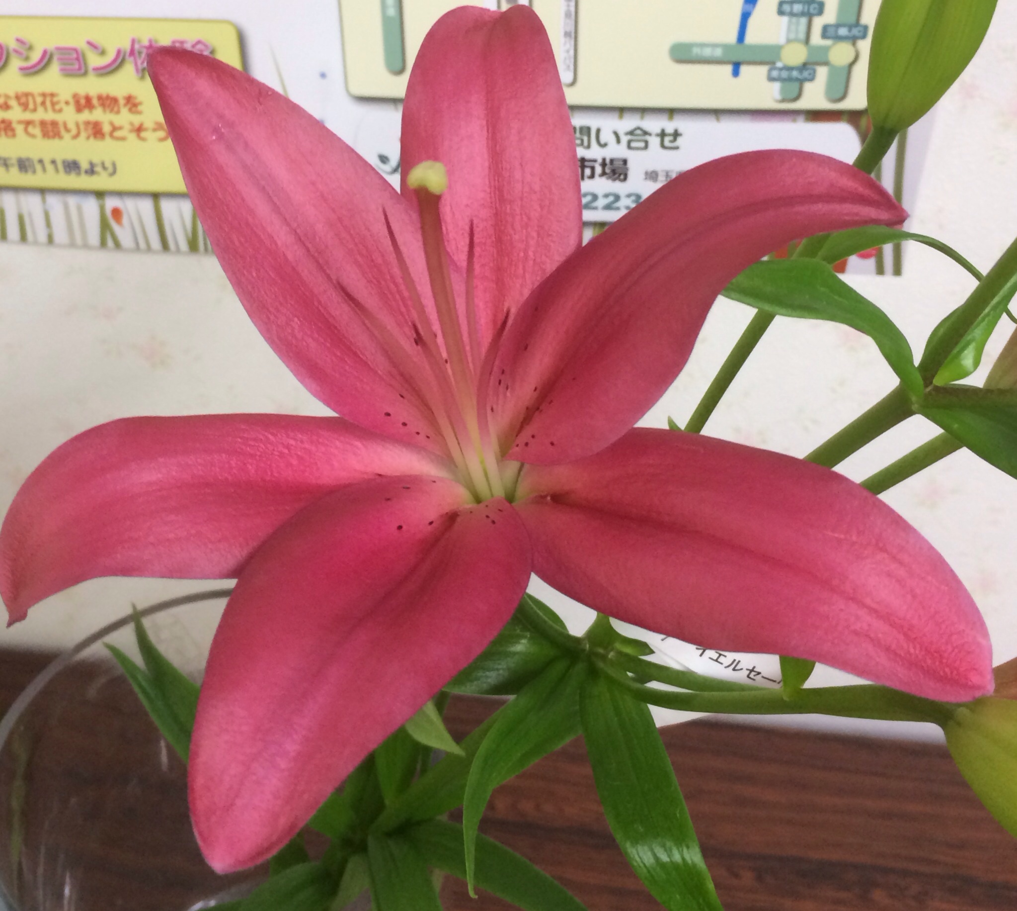 ファイル 121-3.jpg