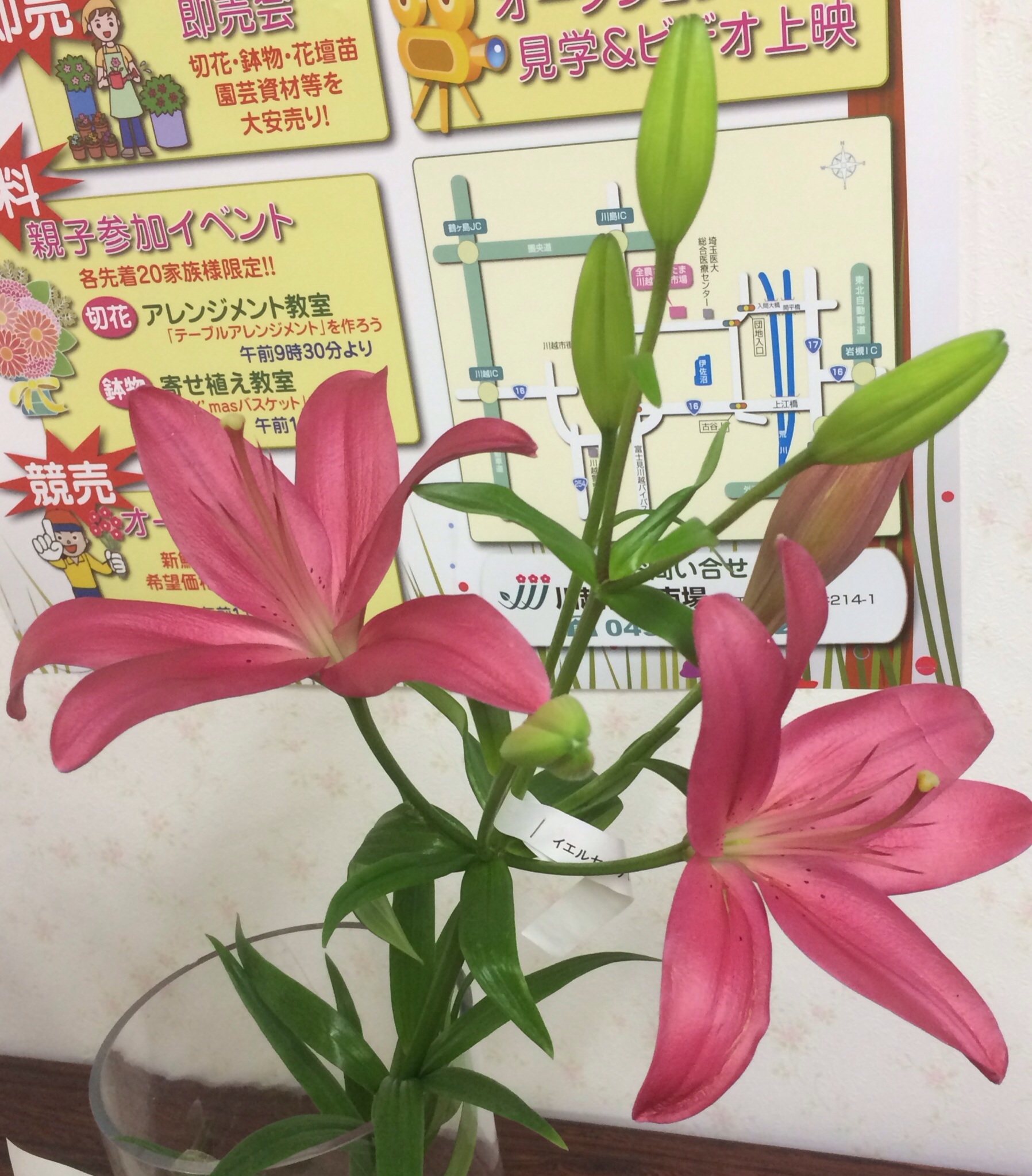 ファイル 121-4.jpg